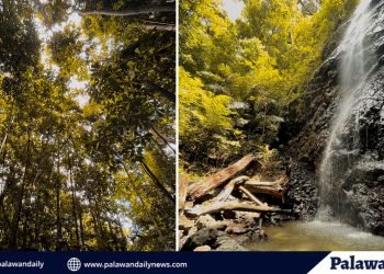 Deep within the verdant jungles of the island town of Balabac in Palawan, a hidden gem awaits those who venture off the beaten path.