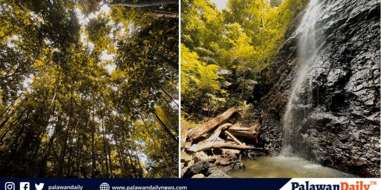 Deep within the verdant jungles of the island town of Balabac in Palawan, a hidden gem awaits those who venture off the beaten path.