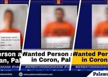 Tatlong wanted sa batas sa lalawigan ng Palawan, arestado