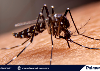 31, naitalang nasawi ng PHO dahil sa Dengue mula Enero 2023