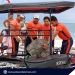 PCG Kalayaan rescues 95-kg Green Sea Turtle trapped in Pag-asa Island air strip