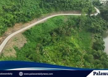 Better mobility for farmers: DPWH accomplishes P11.9M Farm-To-Market Road in Roxas, Palawan