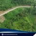 Better mobility for farmers: DPWH accomplishes P11.9M Farm-To-Market Road in Roxas, Palawan