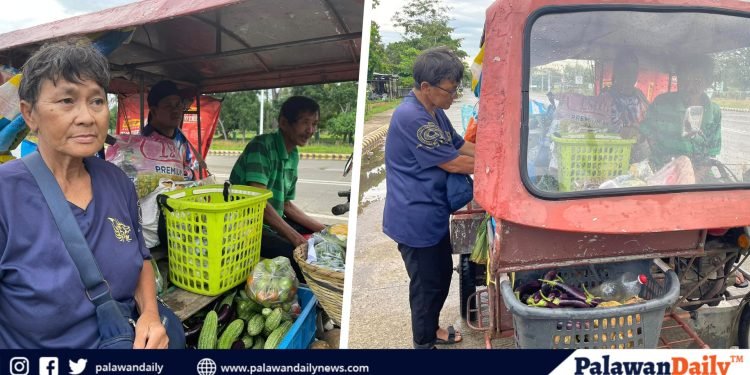Against all odds: Senior couple’s tricycle vegetable business support son with autism in Narra
