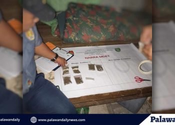 Lalaki, arestado dahil sa drugs