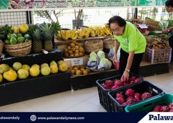 Palawan launches KADIWA ng Pangulo 2023 to provide affordable local agricultural products to the community