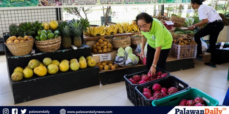 Palawan launches KADIWA ng Pangulo 2023 to provide affordable local agricultural products to the community