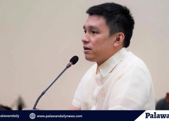 Palawan launches KADIWA ng Pangulo 2023 to provide affordable local agricultural products to the community