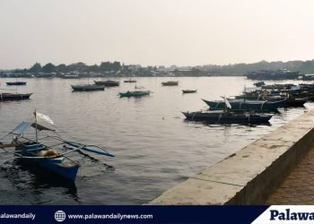 City government to launch ‘Save Puerto Princesa Bay Project’