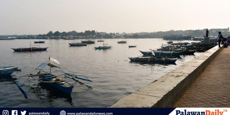 City government to launch ‘Save Puerto Princesa Bay Project’