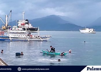 Save the bay campaign set in Bagong Silang on August 12