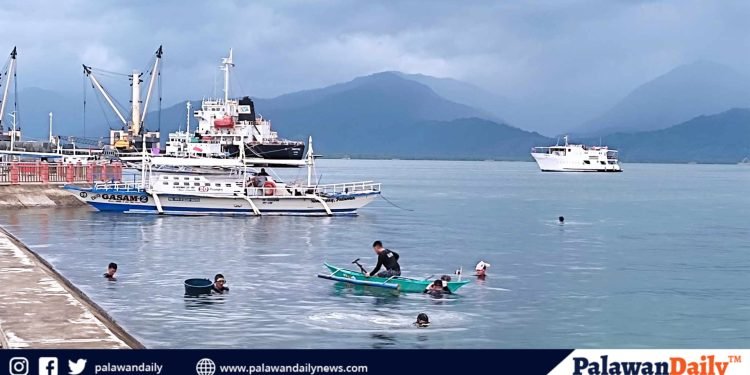 Save the bay campaign set in Bagong Silang on August 12