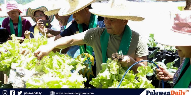 Palawan Governor Commits To Boost Agriculture Funding In 2023 For