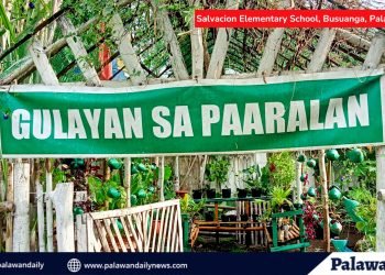 29 beneficiaries of 4Ps Gulayan sa Paaralan project transform school garden in Palawan