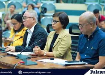 Vilches, full-fledge Provincial and Development Officer na