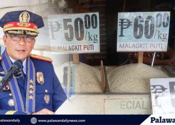 PNP MIMAROPA, tutulong sa DA at DTI sa pagpapatupad ng EO. 39 kaugnay sa presyo ng bigas; mga lalabag, maaring mapatawan ng multa