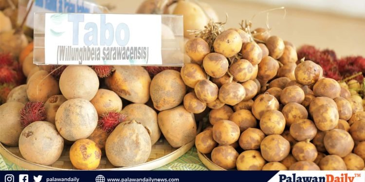 Savor the best of Palawan: inaugural Festival of Palawan Fruits opens its gates