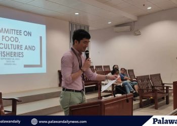 DTI, nagsagawa ng profiling sa mga tindahan ng bigas