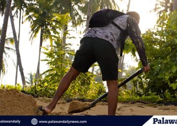 San Vicente’s longest beach sets the stage for eco-tourism excellence