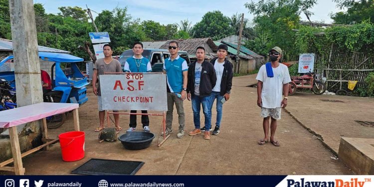 Palawan initiates a robust anti-African Swine Fever campaign to secure food sustainability