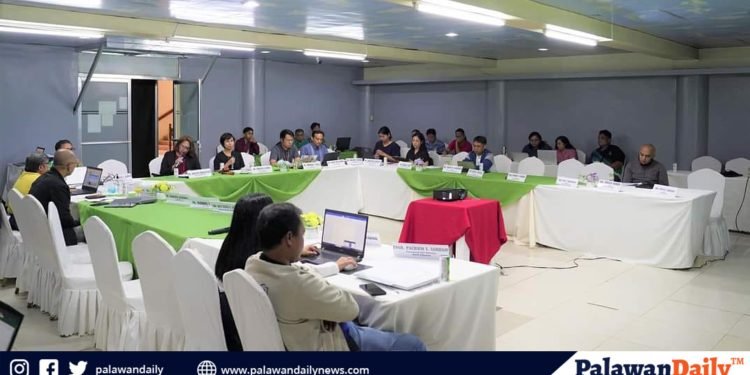 Guardians unite for Cagayancillo’s CLUP review
