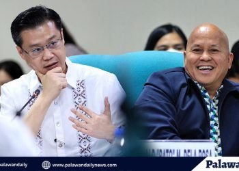 Senators propose to transition to digital Philippine ID cards to overcome production challenges