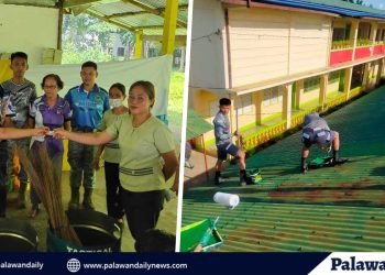 20 paaralan mula sa Puerto Princesa at Palawan, nabigyan nang tulong ng TOW-WEST