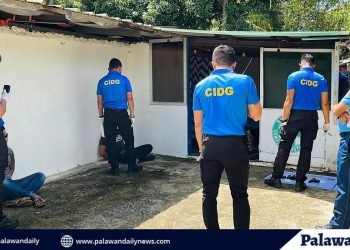 Criminal Investigation and Detection Group (CIDG)