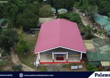 DPWH completes multi-purpose building in Santa Monica, Puerto Princesa