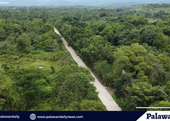 Palawan holds public consultations to shape future development roadmap