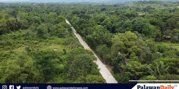 Palawan holds public consultations to shape future development roadmap