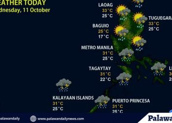 PAGASA anticipates showers in Palawan, Bicol, Visayas, and Mindanao