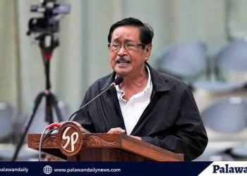 Palawan’s MPAS receive Provincial recognition following Para El Mar awards