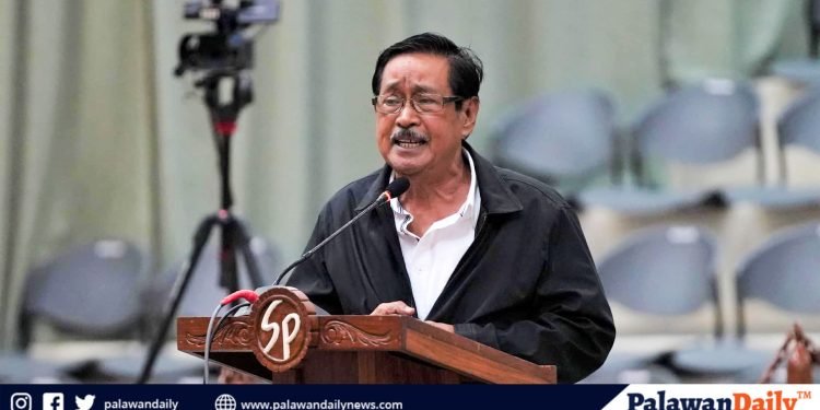 Palawan’s MPAS receive Provincial recognition following Para El Mar awards