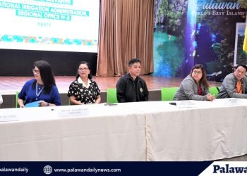 NIA-MIMAROPA and Local Government unite for Gender-Responsive Programs