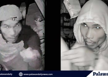 Beteranong magnanakaw, sumalakay muli