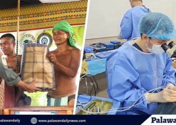 Mahigit 19,000 na Palaweño, nahandugan ng tulong ng ‘All-in-One Bayanihan’ ng AFP-PAF at ‘Go Share’