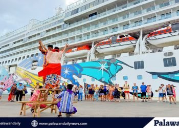 8 cruise ships to arrive in Puerto Princesa