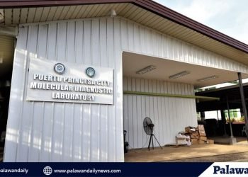 DOH honors Puerto Princesa Molecular lab for outstanding service delivery