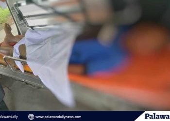 Lalaki, patay matapos saksakin ng kainuman sa Brooke’s Point