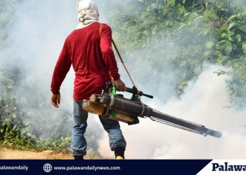 Narra leads Palawan in rising dengue cases