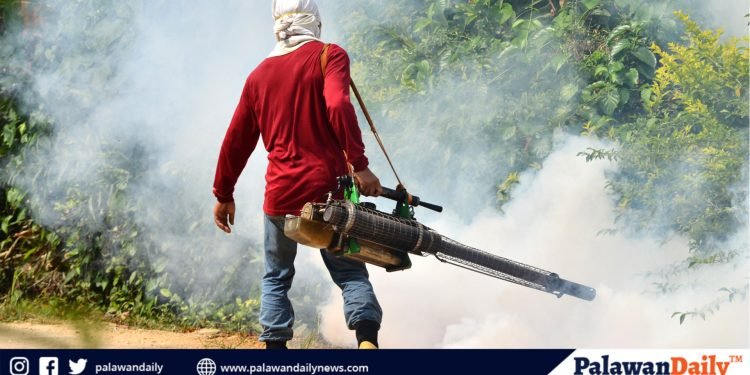 Narra leads Palawan in rising dengue cases