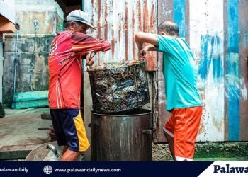 U.S. supports expansion of responsible seafood sourcing in Iloilo