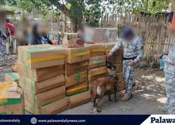 Interagency operation nabs smuggled cigarettes in Brooke’s Point