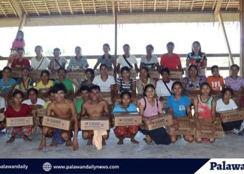 Palawan indigenous families receive aid through food-for-work program