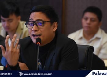 Farm Konekt CEO John Vincent Q. Gastanes // Photo from Farm Konekt