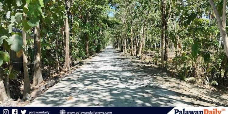 DPWH unveils key road to mainit fall in brooke’s point