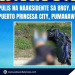 Pulis sa Puerto Princesa, pumanaw matapos maaksidente sa Motorsiklo