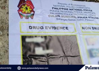 Authorities arrest cook in Culion buy-bust