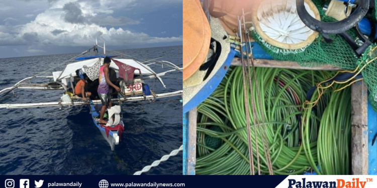 Bangkang Pangisda, Nahuli ng PNP na walang kaukulang dokumento